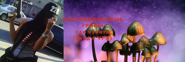 ГАЛЛЮЦИНОГЕННЫЕ ГРИБЫ Верхнеуральск