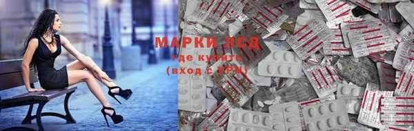 ГАЛЛЮЦИНОГЕННЫЕ ГРИБЫ Верхнеуральск